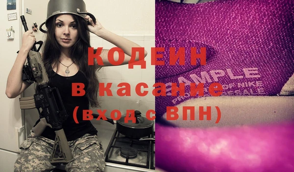 индика Протвино