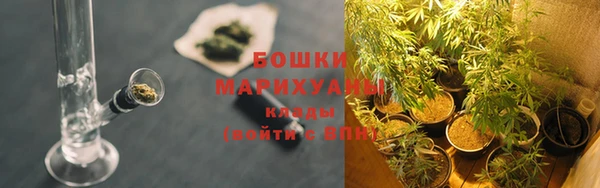 индика Протвино