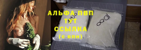 индика Протвино