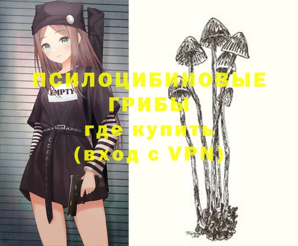 индика Протвино