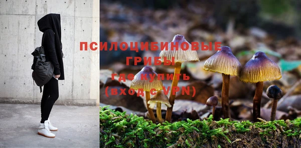 индика Протвино