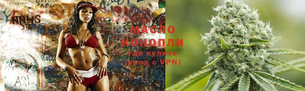 индика Протвино