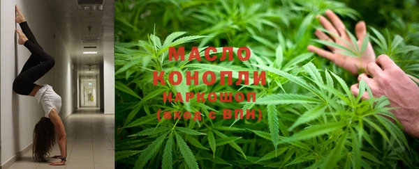 индика Протвино