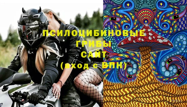 сатива Приозерск