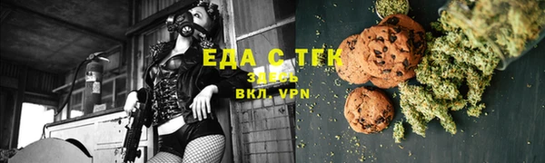 индика Протвино