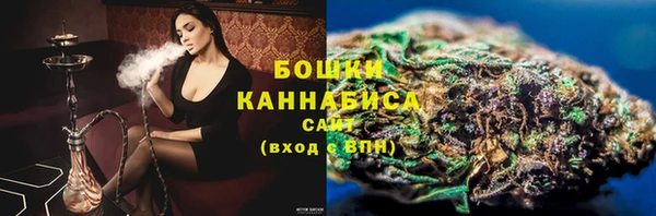 индика Протвино